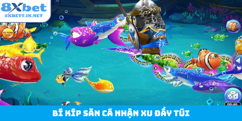 Bí kíp săn cá nhận xu đầy túi