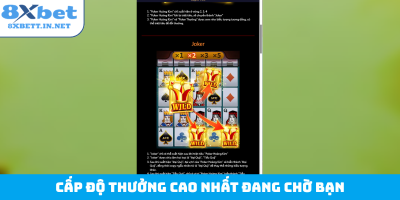 Cấp độ thưởng cao nhất đang chờ bạn