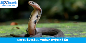 Mơ thấy rắn