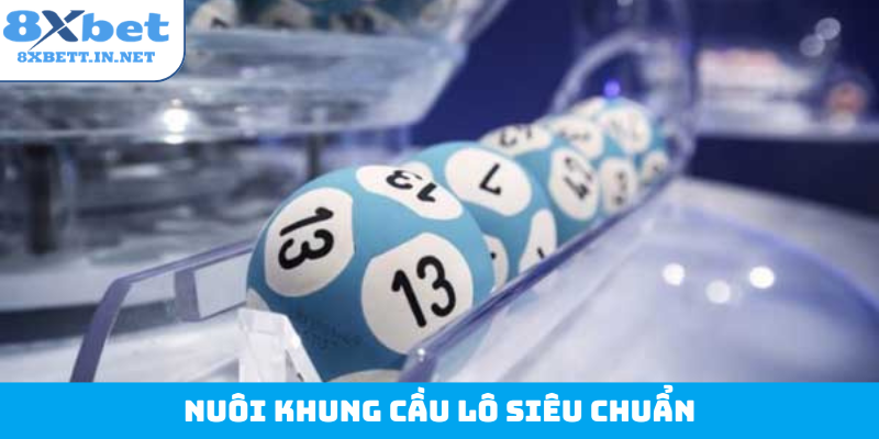 Nuôi khung cầu lô siêu chuẩn